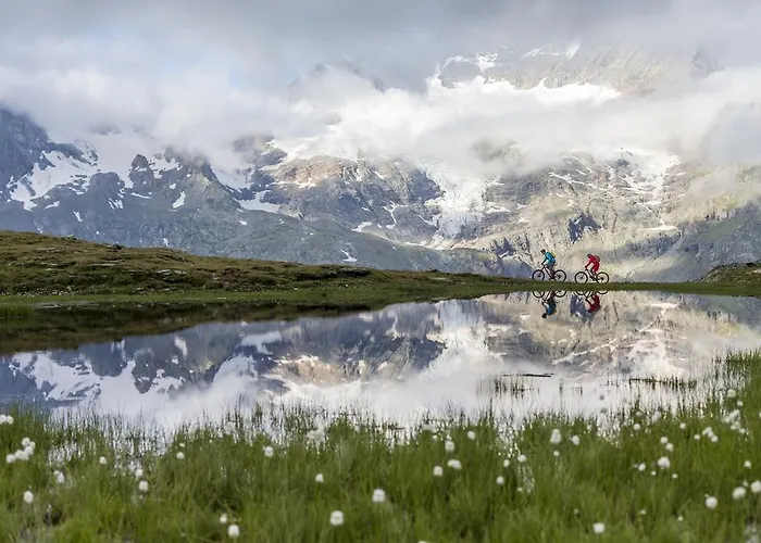 By Randolins Albergue São Moritz